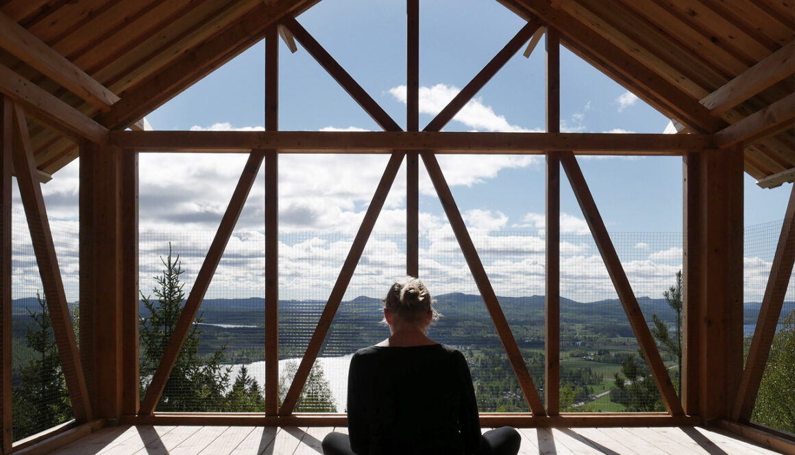 Bergaliv landsskapshotell