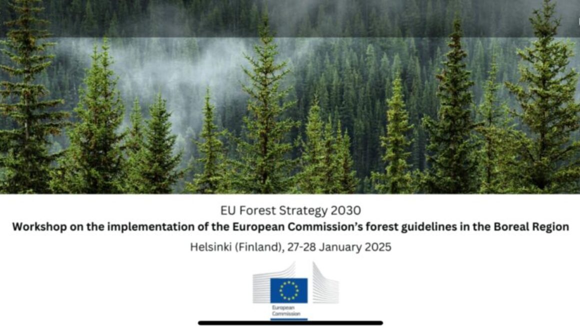 EU-forsest-stratety-workshop-Finland-2025