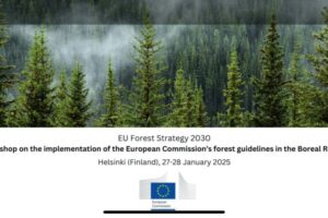 EU-forsest-stratety-workshop-Finland-2025