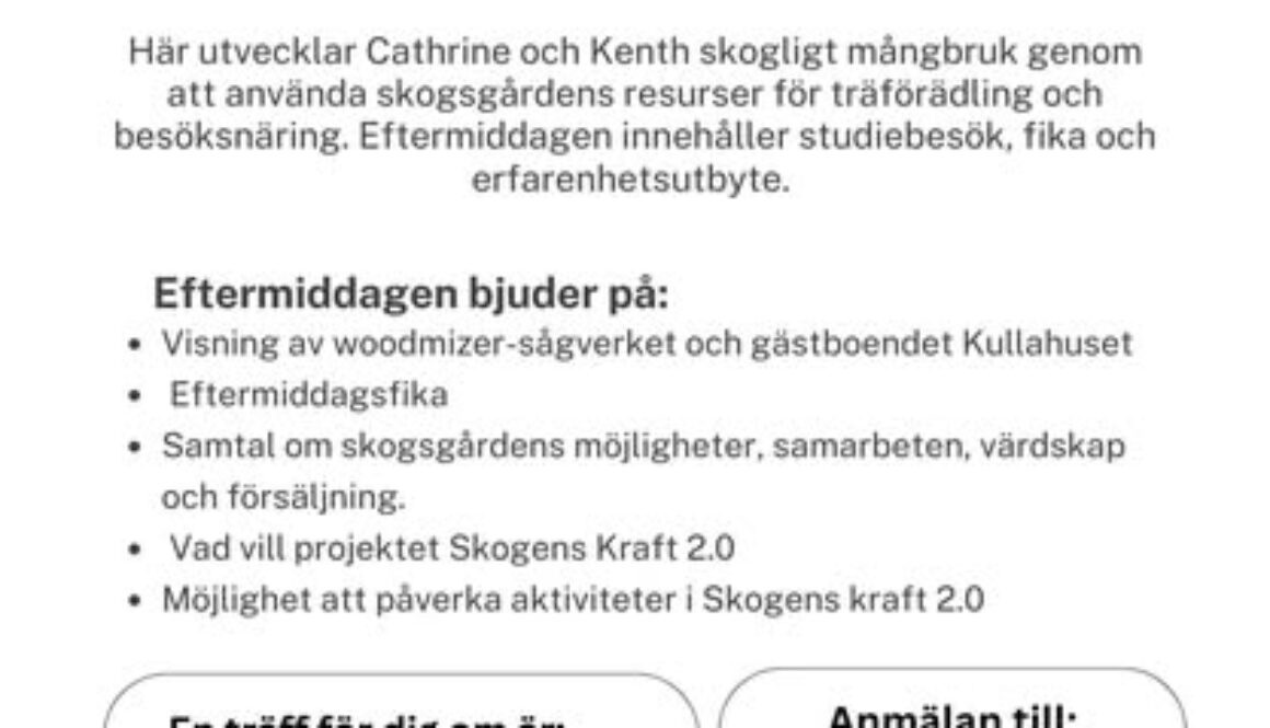 Inbjudan-hammar-vid-soljen-21feb25