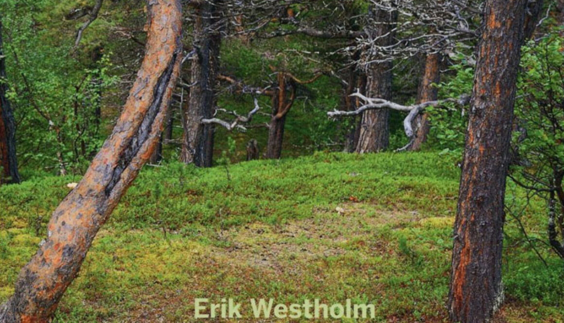 BOK-10tankar-om-skogens-framtid-Erik-Westholm