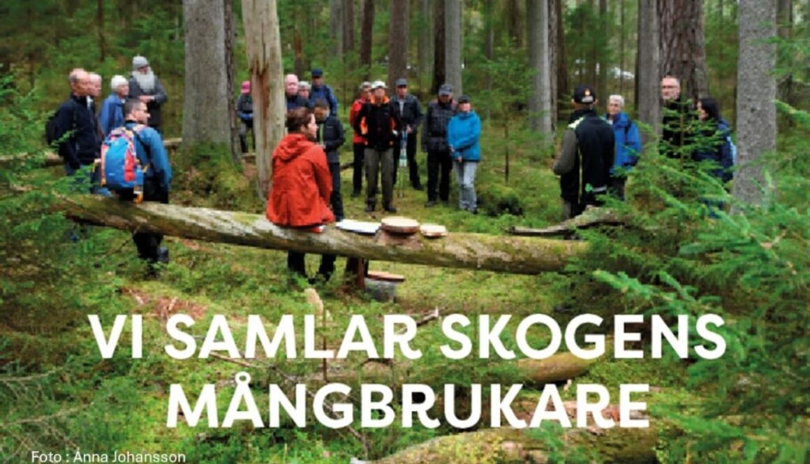 Vi-samlar-skogens-mangbrukare